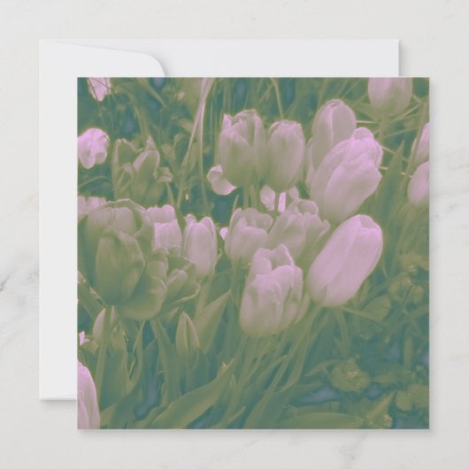 Aangepaste uitnodigingen voor tulptrekjes (Achterkant)