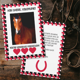 Aangepaste valentijnskaart met paard foto feestdagenkaart