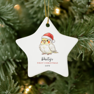 Aangepaste valkparkiet met kerstmuts eerste kerstf keramisch ornament