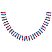 Aangepaste verkiezingsbanner vlaggetjes (Alle)