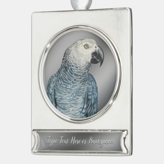 Aangepaste versiering van je foto hier Keepsakes Verzilverd Banner Ornament (Links)