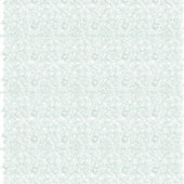 Aangepaste Vinyl Decals | Waterdichte Stickers (Voorkant)