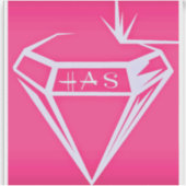 Aangepaste Vinyl Gesneden Logo Sticker door HAS Ju (Voorkant)