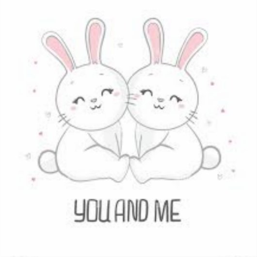 Aangepaste Vinyl Stickers (Voorkant)