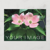 Aangepaste visitekaartje met Bedrijf Logo & Foto Briefkaart (Voorkant)