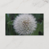 Aangepaste Visitekaartjes voor het zaaien van Dand (Achterkant)