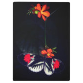 Aangepaste vlinder klembord (Achterkant)