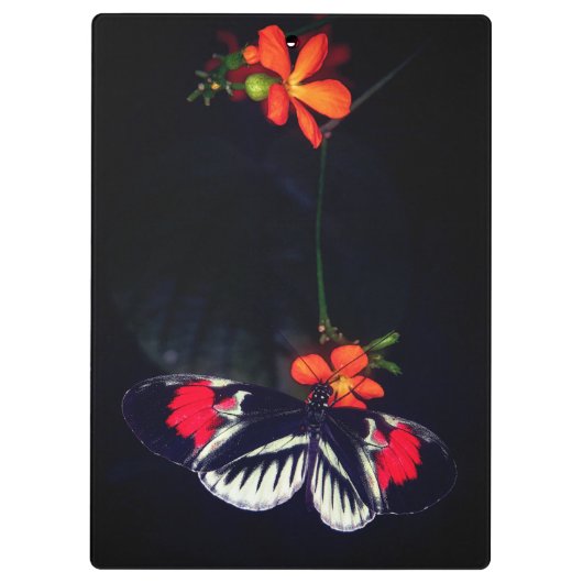 Aangepaste vlinder klembord (Achterkant)