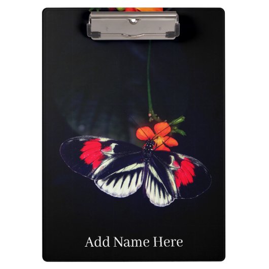 Aangepaste vlinder klembord (Voorkant)