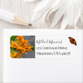 Aangepaste vlinderweed Foto van inheemse bloem Etiket (Insitu)