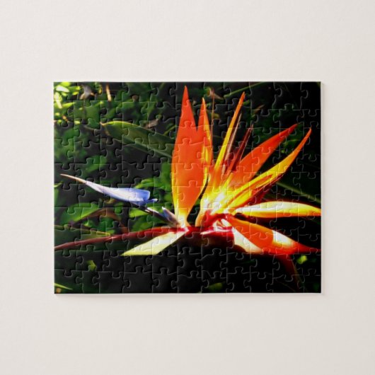 Aangepaste vogel van Paradise Puzzle - Schitterend Legpuzzel (Horizontaal)