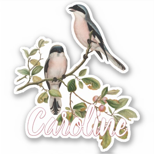 Aangepaste   vogels in rode bessenboom sticker (Voorkant)