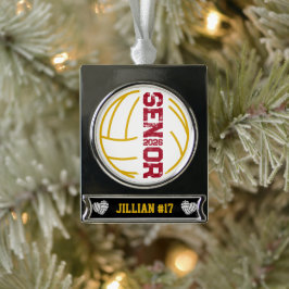 Aangepaste volleybal senior jaar noodlijdend aanta verzilverd banner ornament