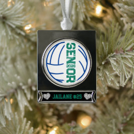 Aangepaste volleybal senior jaar noodlijdend aanta verzilverd banner ornament