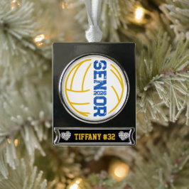 Aangepaste volleybal senior jaar noodlijdend aanta verzilverd banner ornament