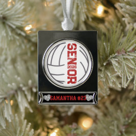 Aangepaste volleybal senior jaar noodlijdend aanta verzilverd banner ornament
