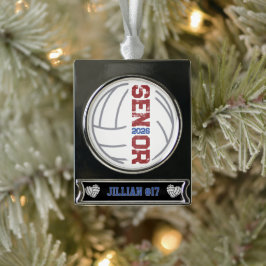 Aangepaste volleybalspeler Senior jaar gestresst Verzilverd Banner Ornament