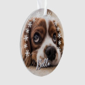 Aangepaste voornaam foto Snowflakes kerst Ornament (voorkant)