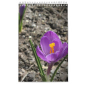 Aangepaste wandkalender voor fotografie kalender (Hoes)