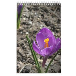 Aangepaste wandkalender voor fotografie kalender