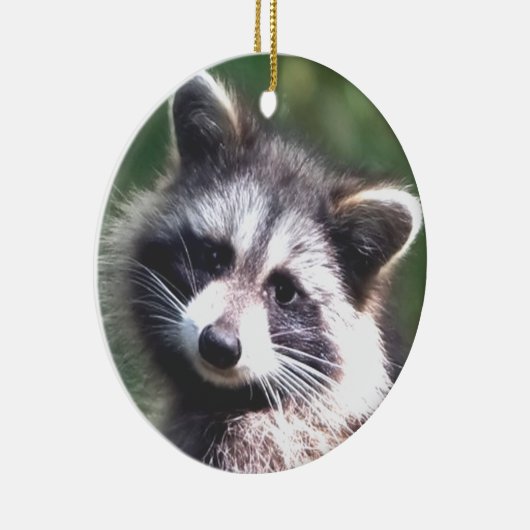 Aangepaste wasbeer foto keramisch ornament (Rechts)