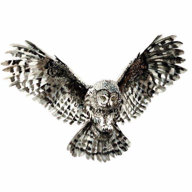 Aangepaste Waterverf Grote Grijze vogelgriep, Dier Staand Fotobeeldje (Voorkant)