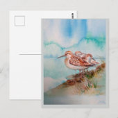 Aangepaste Waterverf Sandpiper Shore Beach Bird Ar Briefkaart (Voorkant / Achterkant)