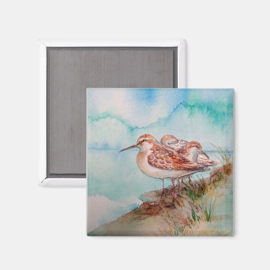 Aangepaste Waterverf Sandpiper Shore Beach Bird Ar Magneet (Voorkant / Achterkant)