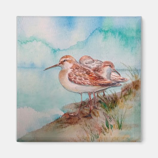 Aangepaste Waterverf Sandpiper Shore Beach Bird Ar Magneet (Voorkant)