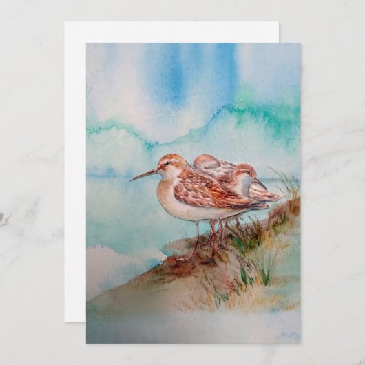 Aangepaste Waterverf Sandpipers Beach Bird Art Kaart (Voorkant / Achterkant)