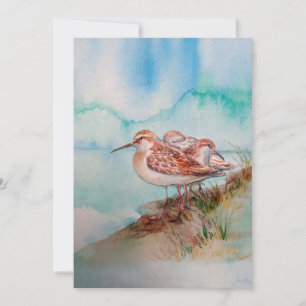 Aangepaste Waterverf Sandpipers Beach Bird Art Kaart