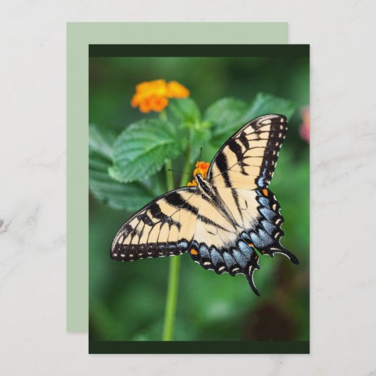 Aangepaste Waterverf vlinderbloemen Kaart (Voorkant / Achterkant)