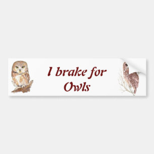 Aangepaste Waterverf, vogels, Natuur, wild Bumpersticker