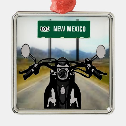 AANGEPASTE wegrit Metalen Ornament (Voorkant)