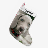 Aangepaste Weimaraner Dog Foto en Dog Name Kleine Kerstsok (Voorkant (Hangend))