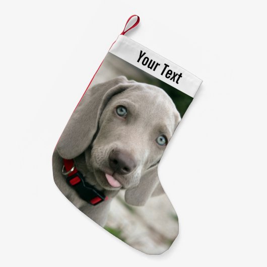 Aangepaste Weimaraner Dog Foto en Dog Name Kleine Kerstsok (Voorkant (Hangend))