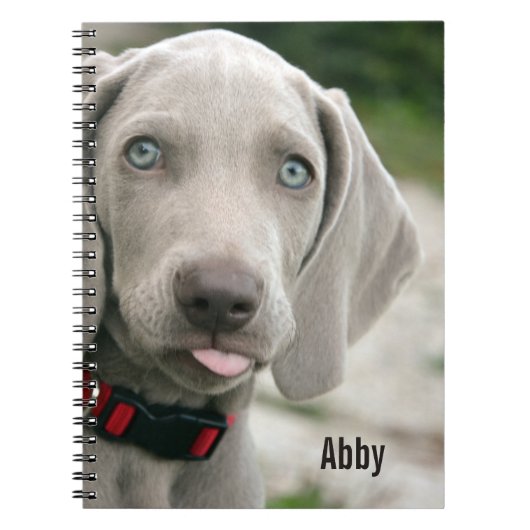 Aangepaste Weimaraner Dog Foto en Dog Name Notitieboek (Voorkant)