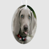Aangepaste Weimaraner Dog Foto en Dog Name Ornament (voorkant)