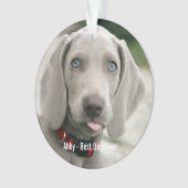 Aangepaste Weimaraner Dog Foto en Dog Name Ornament (voorkant)