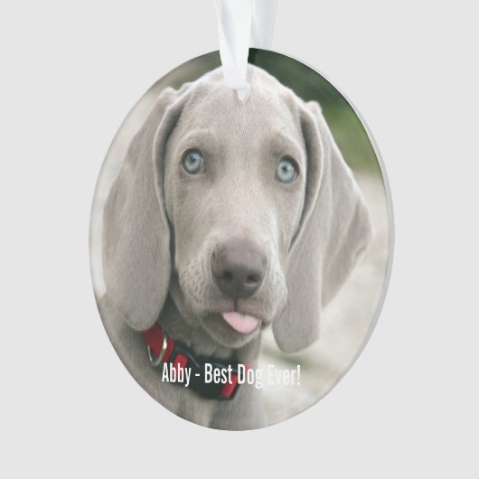 Aangepaste Weimaraner Dog Foto en Dog Name Ornament (voorkant)