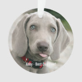 Aangepaste Weimaraner Dog Foto en Dog Name Ornament (voorkant)
