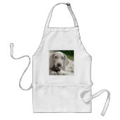 Aangepaste Weimaraner Dog Foto en Dog Name Standaard Schort (Voorkant)