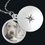 Aangepaste Weimaraner Dog Foto en Dog Name Zilver Vergulden Ketting<br><div class="desc">Speciaal ontwerp van Weimaraner Dog Photo and Weimaraner Dog Name bevat een geüploade foto van uw Weimaraner (of een foto) de naam van de hond of voeg uw eigen tekst toe - Wij houden van de naam van de hond, de verjaardag van de hond of de dag van het passeren....</div>