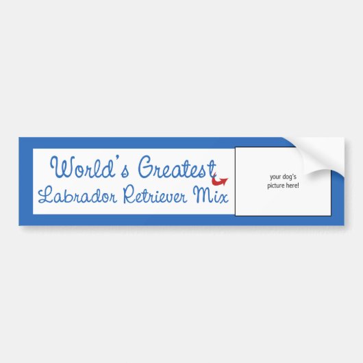 Aangepaste werelden met de grootste combinatie van bumpersticker (Voorkant)