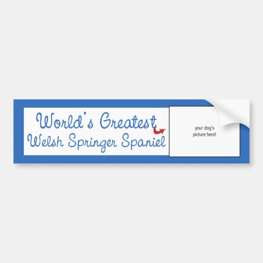 Aangepaste Werelds Beste Welshe Springer Spaniel Bumpersticker (Voorkant)