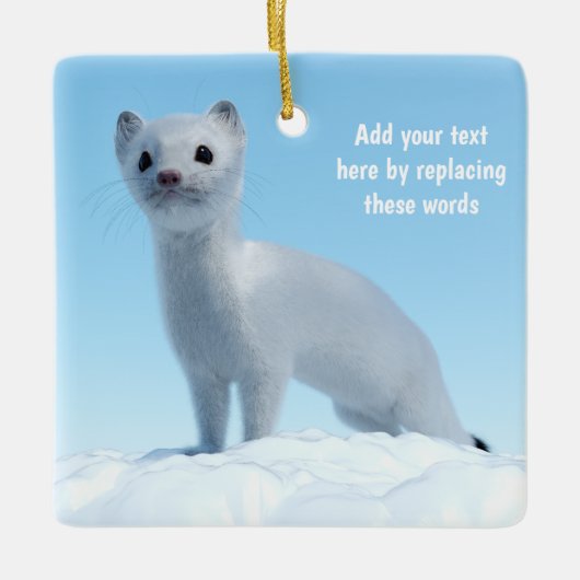 Aangepaste Witte Hermelijn Winter Dieren Kunst Keramisch Ornament (Voorkant)