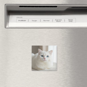 Aangepaste witte kattenfoto-magneet voor koelkast magneet