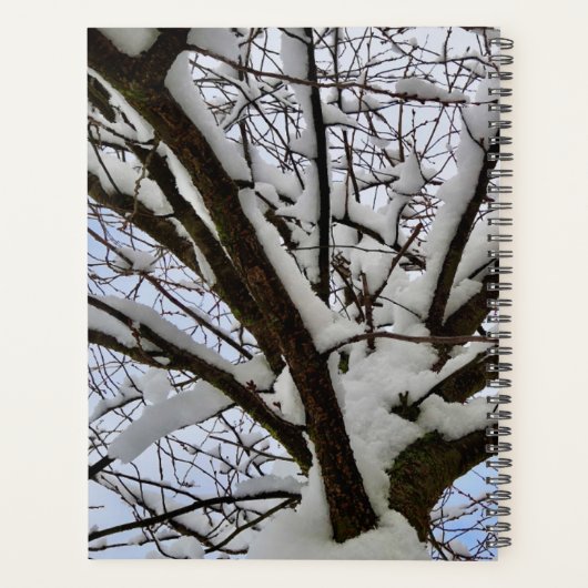 Aangepaste Witte Sneeuwtakken Boomkroon Foto - Planner (Achterkant)