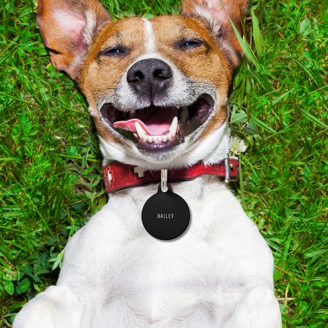 Aangepaste zwarte en witte Accessoires Minimale ho Huisdierpenning (Custom Black and White Accessories Minimal Dog Pet ID Tag
)