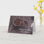 Aangepersonaliseerde Happy Birthday tante Cute Squ Kaart (Gele Bloem)